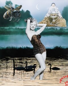 Edward Rojas Vega Collage