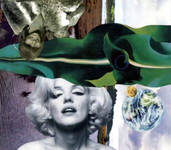 Edward Rojas Vega Collage