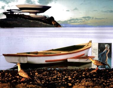 Edward Rojas Vega Collage